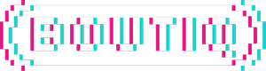 boutiq switch